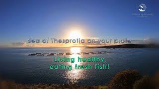 Recipes with Fresh fish from Thesprotia Fish Farm!