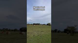 Setuju Nggak Kalau ini New Zealand Versi Dompu? #newzealand #dompu #ntb