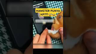 HAMSTER DIBELIKAN HP OLEH TUANNYA