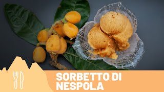 Corso di #Gelato - Gelato sorbetto artigianale e naturale alla #Nespola