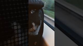 A nice train travel #train #travel #traveling #cats #catlover #catvideos #catshorts #trainjourney