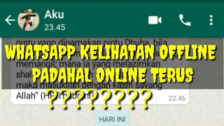 Cara agar whatsapp terlihat offline Berhari-hari padahal online setiap waktu