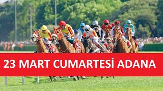 23 MART 2024 CUMARTESİ ADANA AT YARIŞI TAHMİNLERİ VE YORUMLARI