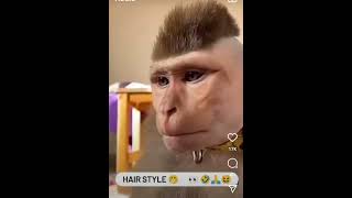 monkey hair style 🙉😎😆😲