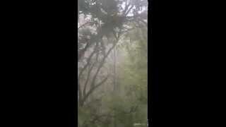 Monster Rain, June 30, 2013 #heavyrain #storm #raining #rainingcatsanddogs