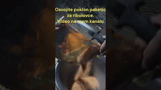 Odlična kombinacija hrana. Feeder ribolov -Panta TV #shorts