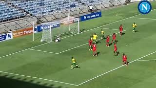 ANGUISSA "Eurogoal in nazionale" (Malawi vs Camerun)