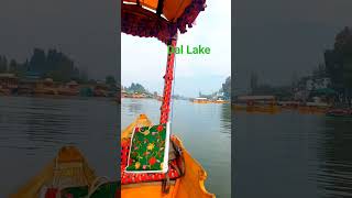 Dallake Kashmir