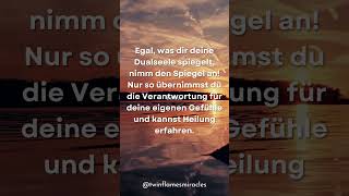 Dualseelen - Nimm den Spiegel an🪞 #twinflames #liebe #dualseelen