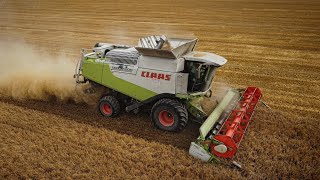 🇵🇱Żniwa Jęczmienia 2022! na 100ha ☆ GPH Brocki ☆ Claas Lexion 600 & MANITOU & 2X IVECO ☆ AW ™