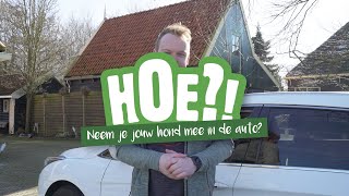 Hoe neem je je hond mee in de auto? | HOE?! | Welkoop