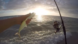 West Florida Beach Fishing (2 new species) -- Florida Day 3