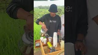 Nyarik Kopi Tabanan | Babahan - Penebel | Explore Nature Bali