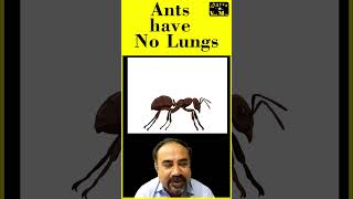 Ants are not having lungs! #upsc #hindi #quiz #sciencefacts #facts #viganwithvishalmuliya