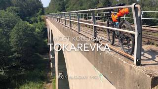 Most w Tokarevce (Viaduct in Tocarevka)