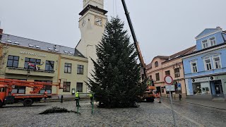 Usazení vánočního stromu 2024