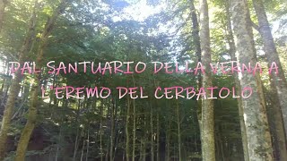 LA VIA DI FRANCESCO dal santuario della verna all'eremo del cerbaiolo