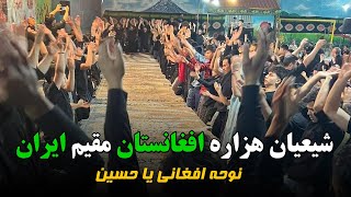 نوحه افغانی -  فدایی تو یا حسین با صدای باقر شولگری