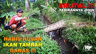 GANAS !!! Tarikannya Jhon...Mancing Di Selokan Habis Hujan #microfishing #mancingnilem #mancingnila