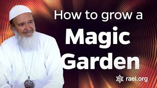 Maitreya Rael: How to grow a Magic Garden (71-03-12)