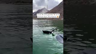 Wildlife at Al Rafisah Dam, Khorfakkan 😍