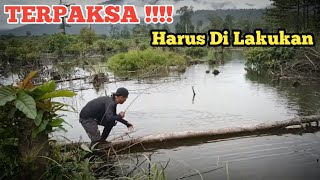 Casting Ikan Gabus Di Spot Pedalaman || Terpaksa Harus Di Lakukan