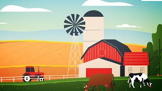 Motion Graphic Animation Video  - N49 Naturals Explainer Video