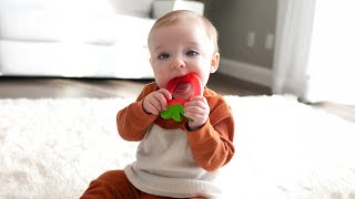 Cool Relief for Teething Babies: Dr. Brown’s Aqua Cool Water-Filled Teether Review