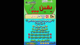 Tahi lariii Game 7500 fainll gmee inSHALLAH big wing kl ho gi. 01-11-2021.