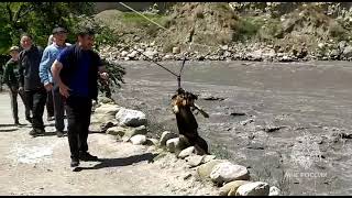 El mundo 🌍, rescatan a perrito rodeado por un río , checa los detalles ⬇️⬇️⬇️