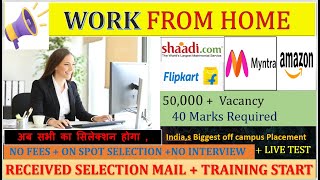 Myntra, Flipkart, Amazon, Swiggy | Work From Home Jobs | Online Job at Home | candidate can apply