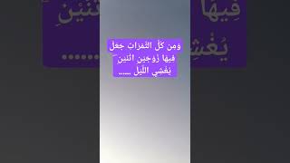 ١٤ ديسمبر، ٢٠٢٤