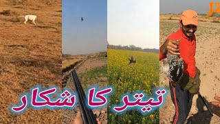 Partridges Hunting shotgun ke sath Teetar ka shikar kalay Teetar Black Partridges 7th Sunday2.1.2022