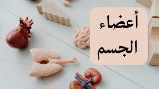 Body parts in Arabic (Levantine dialect)