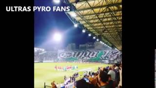 Panathinaikos - Ajax 15/09/2016 {Choreo}