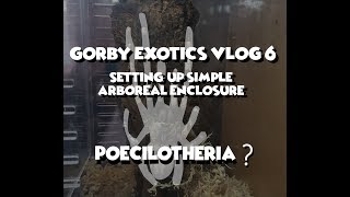 Setting-up Simple Arboreal Enclosure | Gorby Exotics Vlog 6