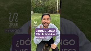 ¿Dónde están mis pensiones?