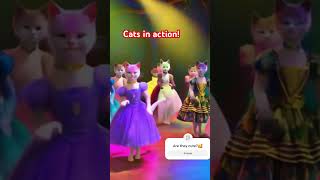 Cute Cats in Action! #dance #cat #kitten #catlover #fypシ゚viralシ2024fyp #felinemodels