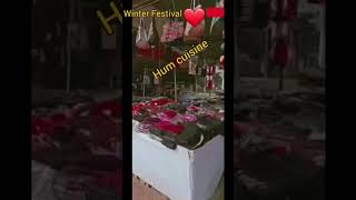 Winter Festival #youTube Shorts #Trending #viral