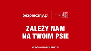 Ubezpieczenie psa.Rabat z kodem 27371 na .www.bezpieczny.pl/27371. Zamów rozmowę 602 158 561