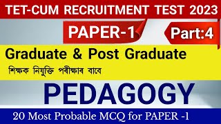 Tet cum recruitment test pedagogy || Paper 1 preparation || tet Cum-Recruitment Test preparation