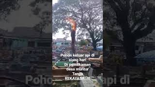 kejadian aneh pohon keluar api di siang hari//tanpa REKAYASA...!!! #short