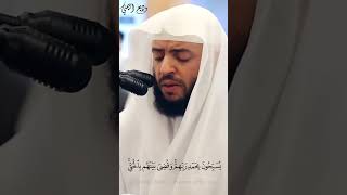 ﴿وَترَى الْمَلائِكَةَ حافِّينَ منْ حَولِ الْعَرشِ يُسَبِّحُونَ بِحَمْدِ ربِّهِمْ..﴾ || #وديع_اليمني