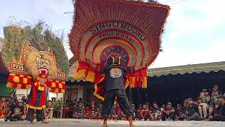 SOLAH DADAK MERAK REOG PONOROGO SINGO MUDHO PODOS #dadakmerak #barongan #pembarong #reog