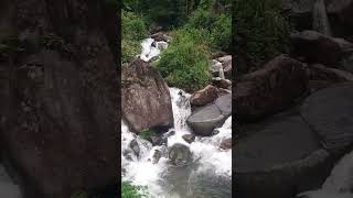 Waterfall Paradise #nadaya #shortstravel #srilankatravel #waterfalls #dedugala #fypシ゚viral #fypシ