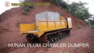 Powerful Effective Crawler Dumper 4 ton All Terrain  sawit/farm/Indonesia/Malaysia/Philippines