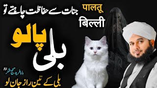 Jannat Sa Hifazat Chahata Ho To Billi Palo | New Emotional Bayan Peer Ajmal Raza Qadri 2024