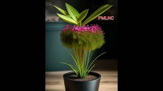 Show Flower  - PMLNC  @PMLoveNatureClasses