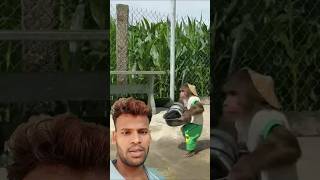 बंदर बर्तन साफ करेगा #trending #funny #shortsviralvideo # green screen