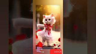 Cat dance######@Cutecat animals-z5k